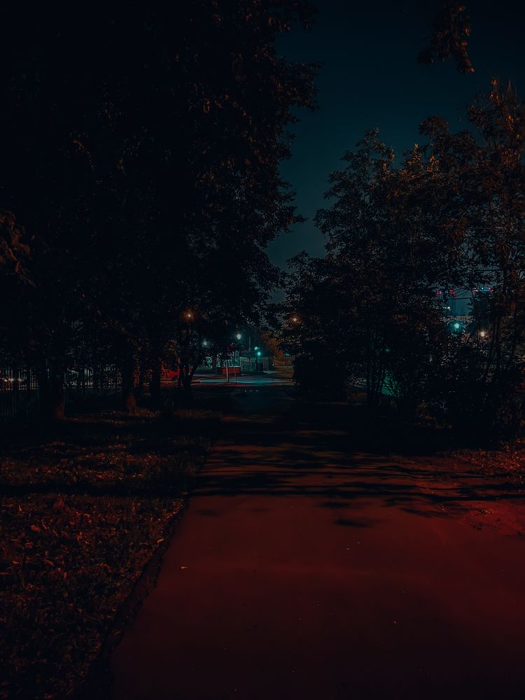 Photograph by Olga Molchanova