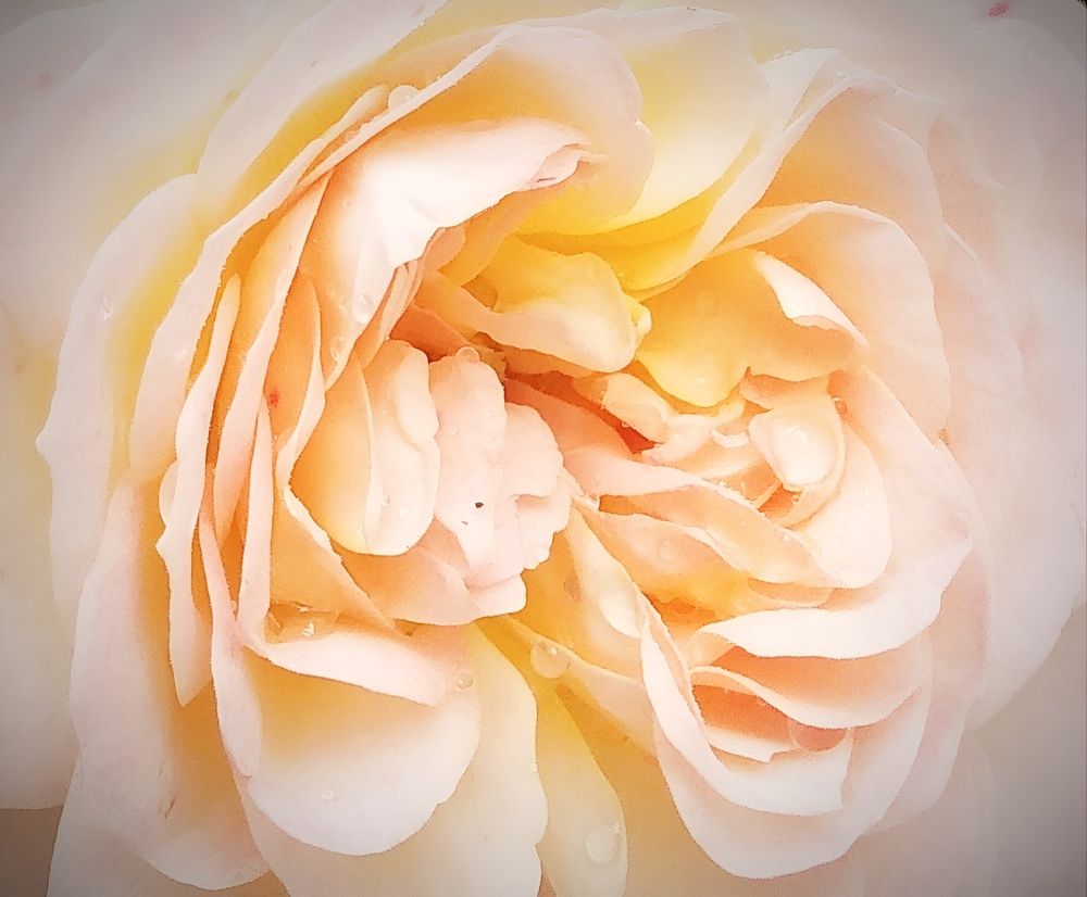 Photograph by Татьяна Кунц