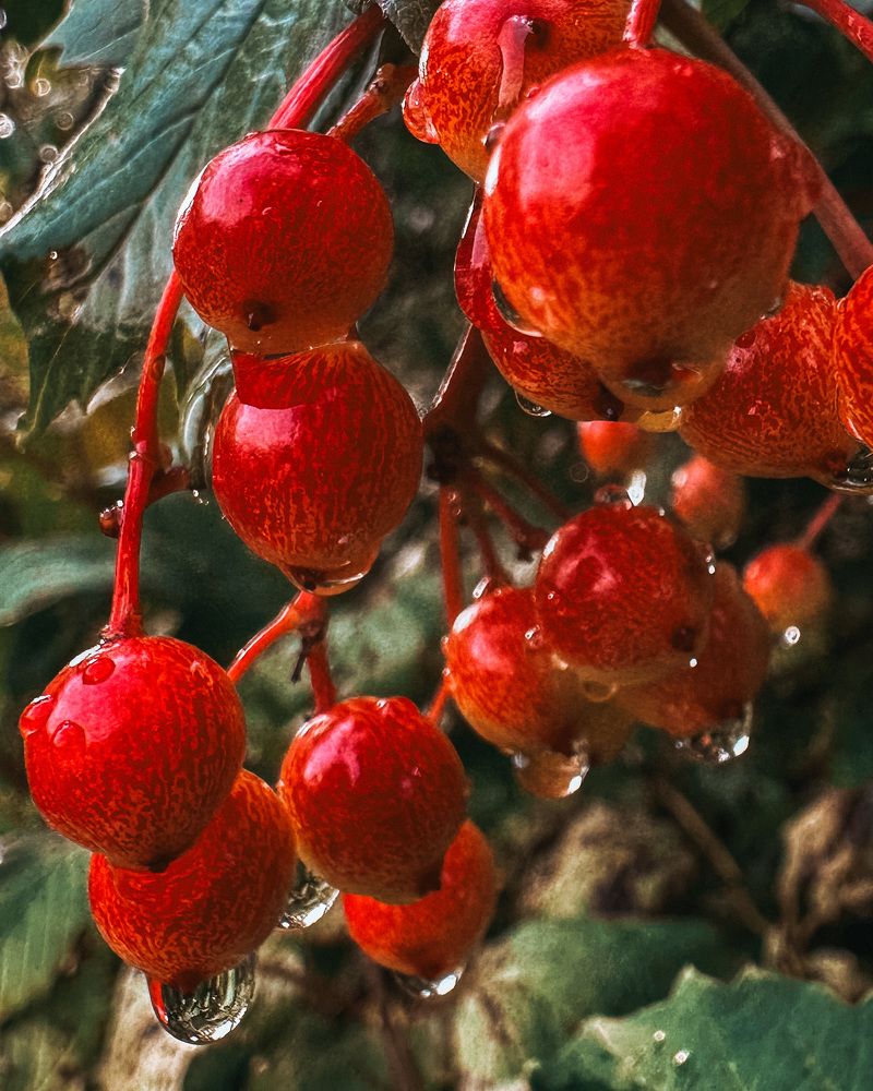 Photograph by Аленa Пономарева