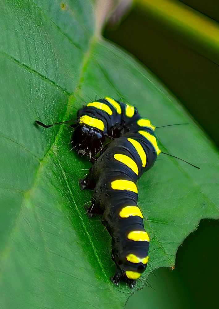 И здесь Билайн??