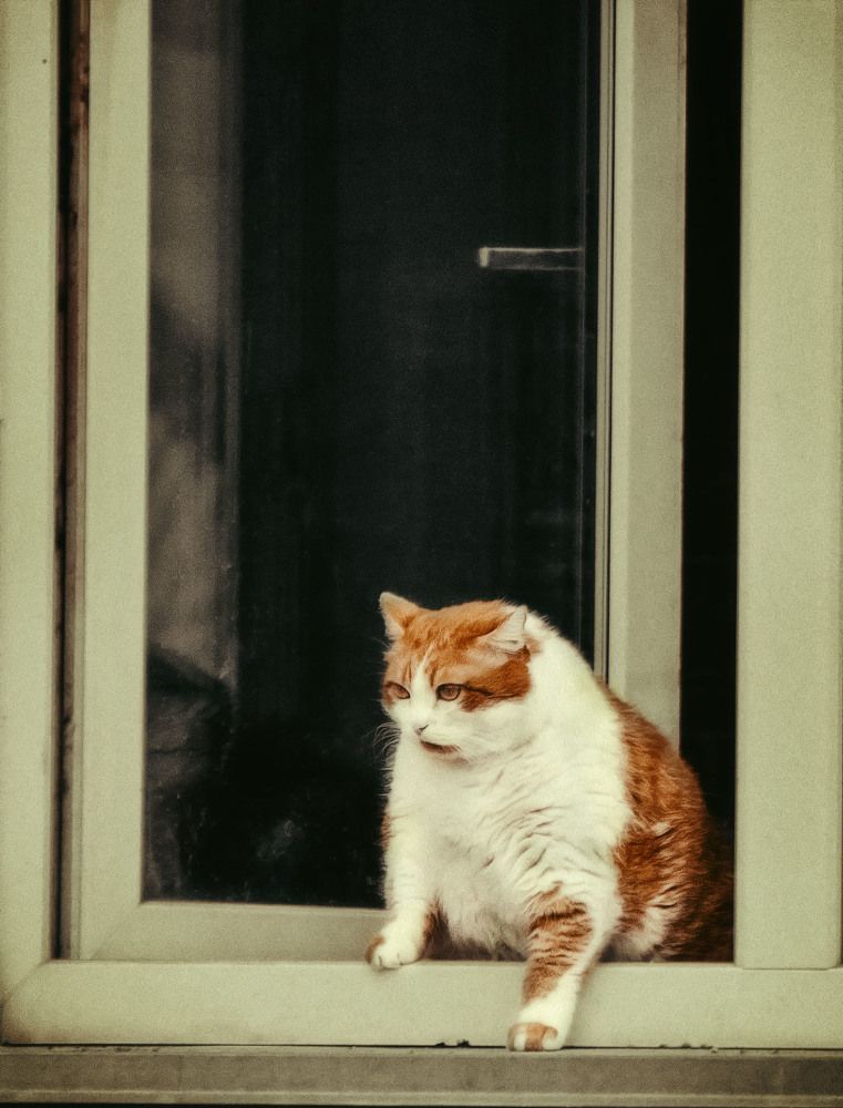 Photograph by Юлия Лушникова