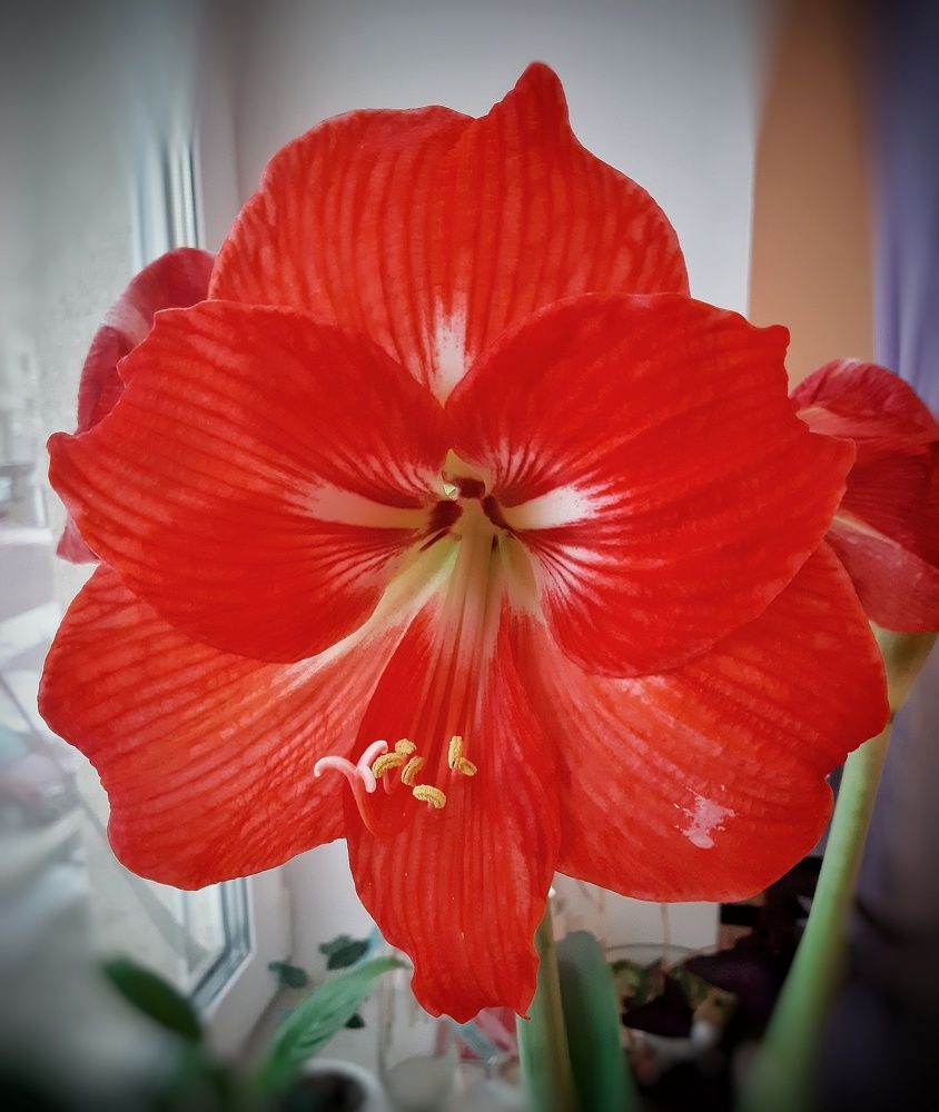 Photograph by Бакшеева Марина