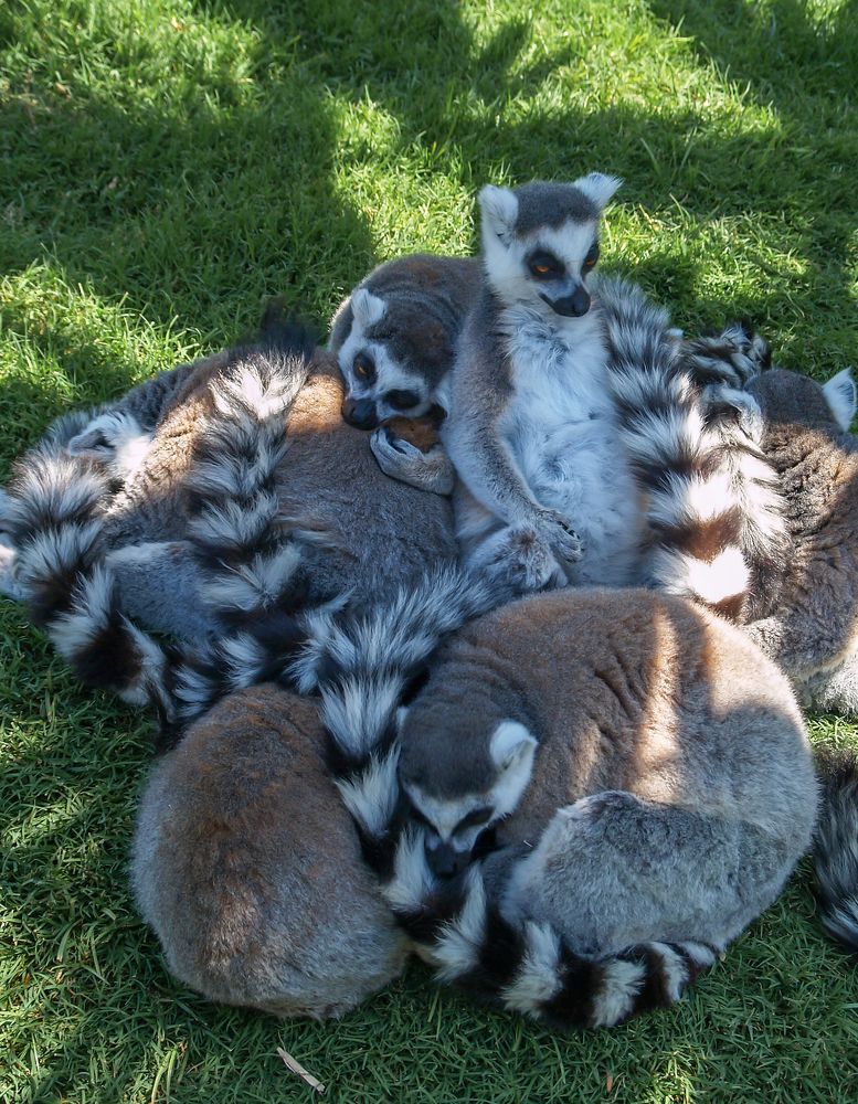 Photograph by Agita Leimane