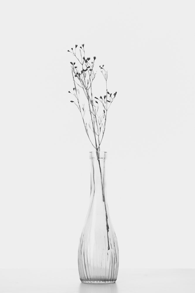 Photograph by Ira Sokol