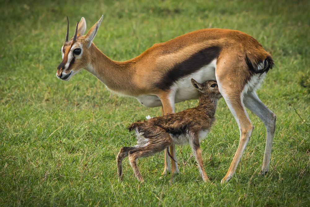 Photograph by Дария Максимова