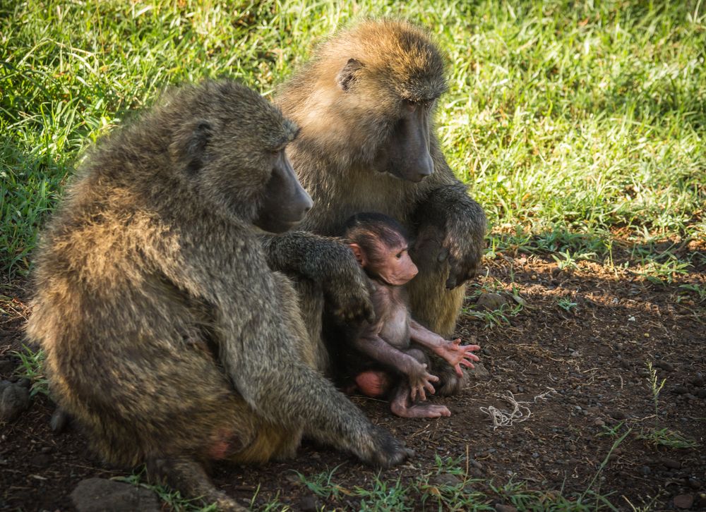 Photograph by Дария Максимова