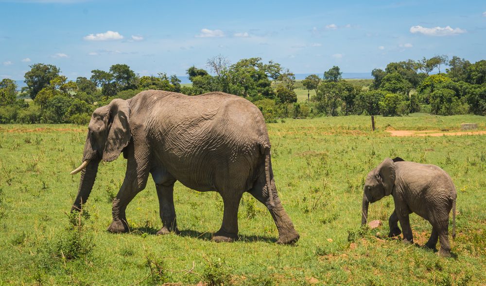 Photograph by Дария Максимова