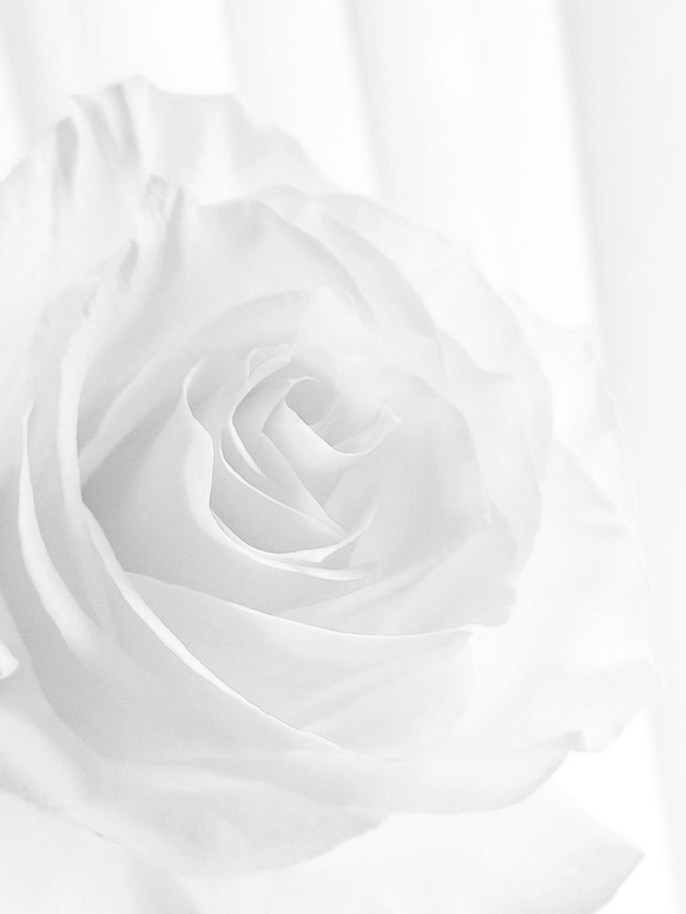 Photograph by Ольга Владимировна