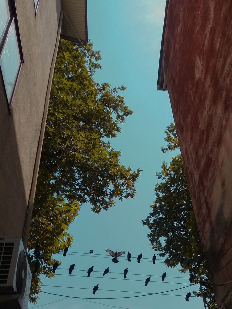 Photograph by Shima Farzaneh