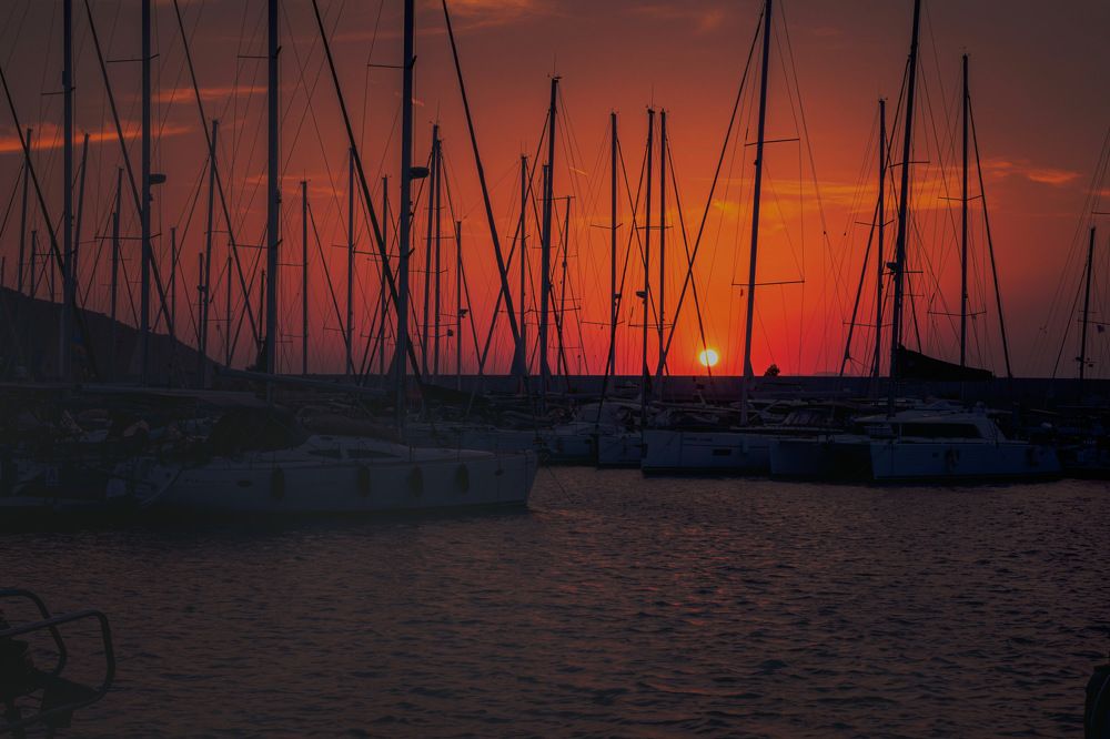 Photograph by Sahar