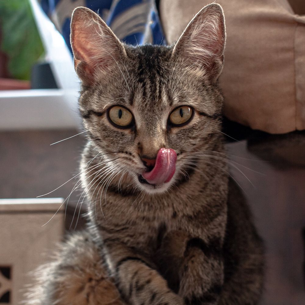 Photograph by Никита