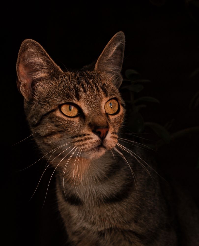 Photograph by Никита