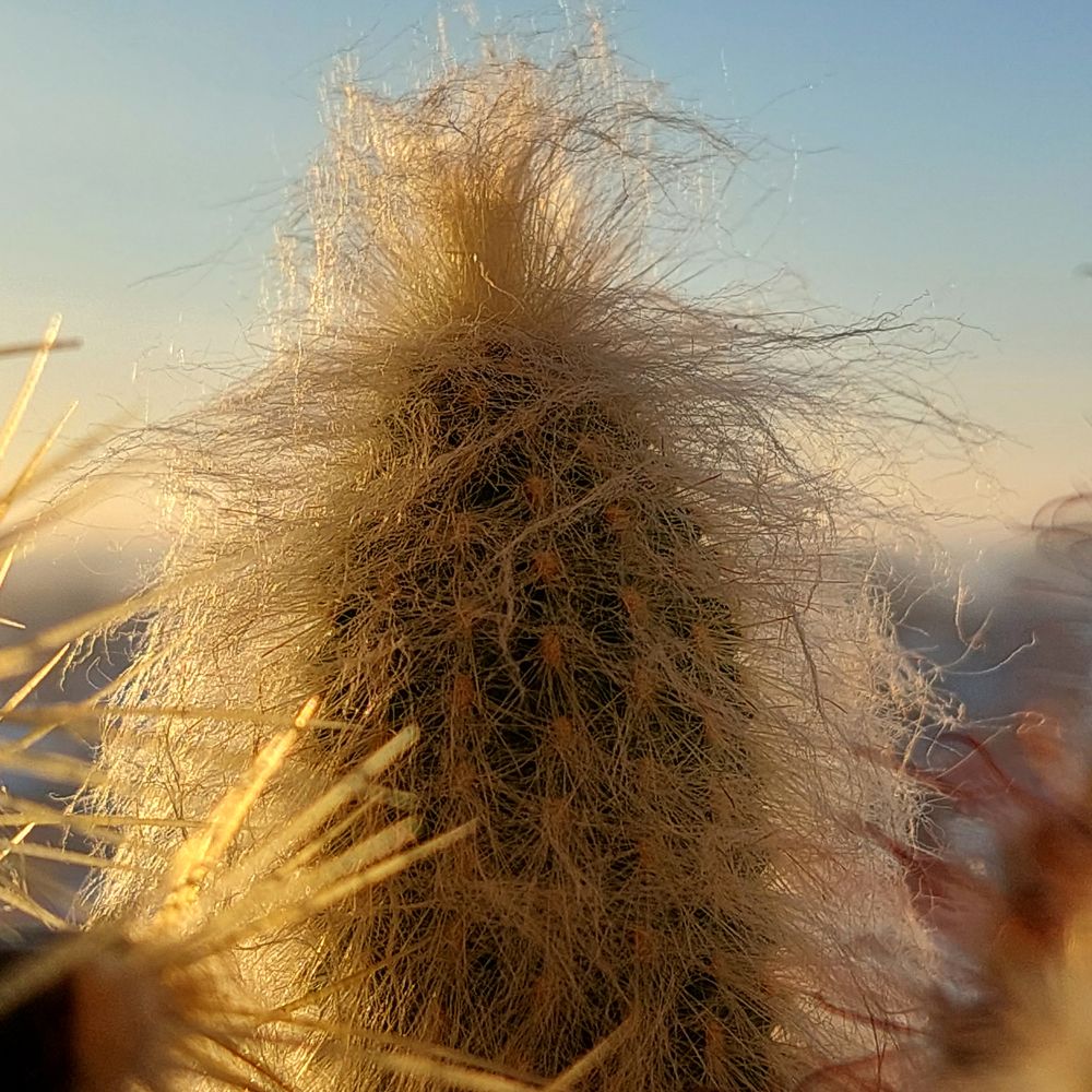 Photograph by Юлия Сахарова