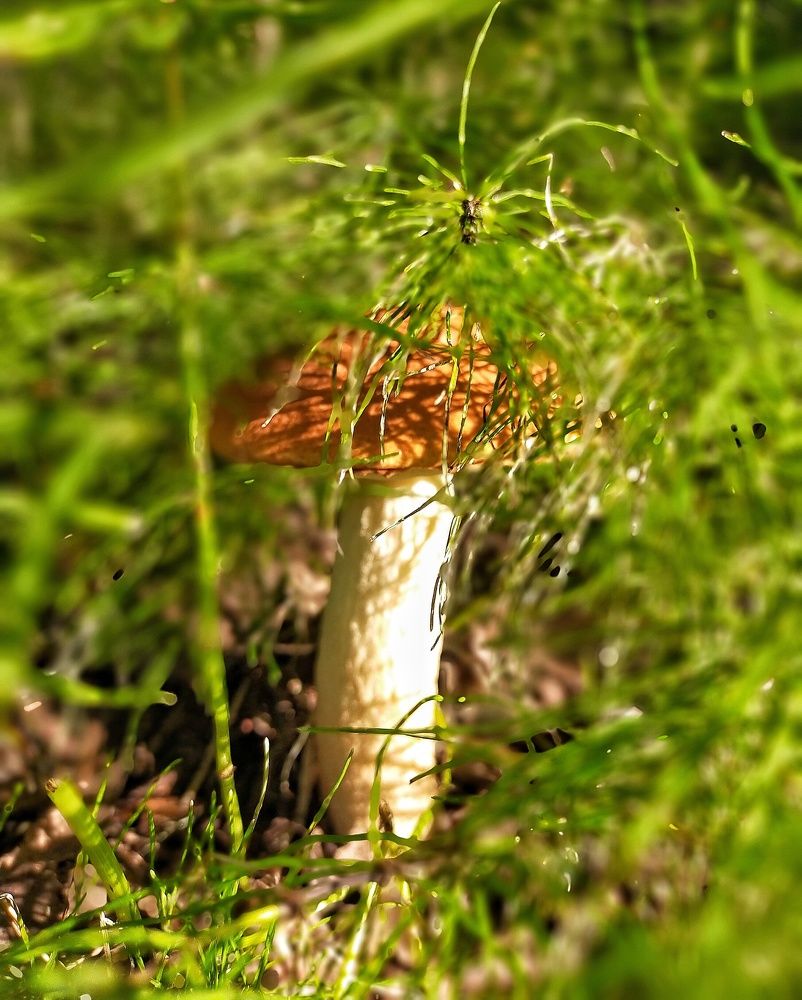 Photograph by Ольга Мартьянова