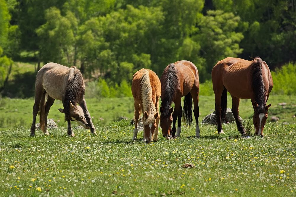 Photograph by Олег Раков