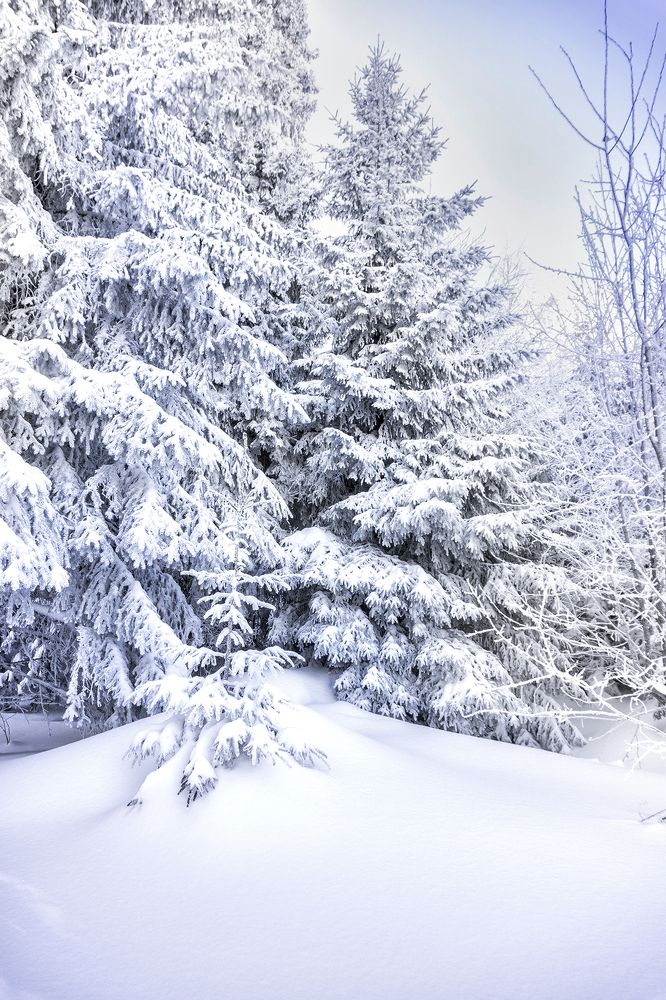 Фотография автора Milena Ivanova