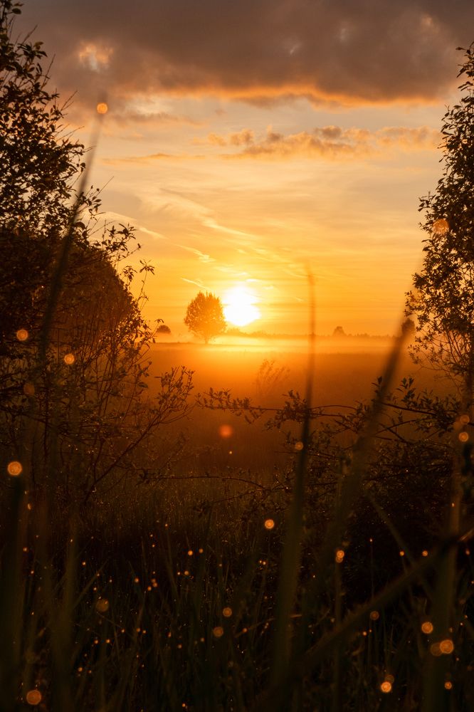 Photograph by Сергей