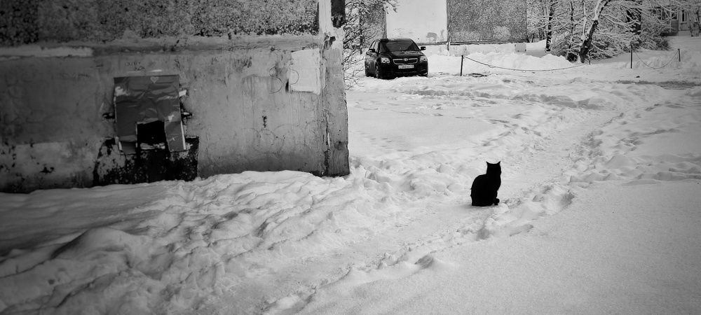 Photograph by Наталья Калюнова