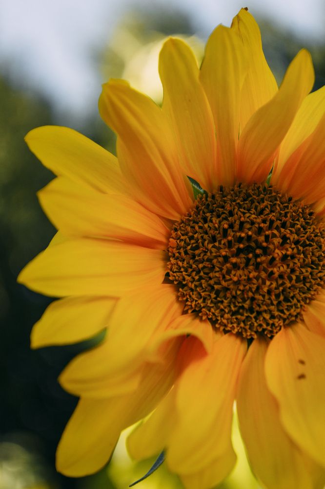 Photograph by Анна Ушакова