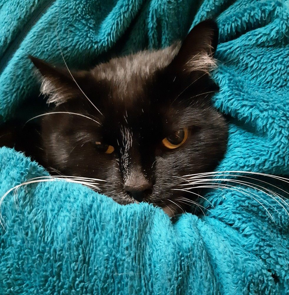 Фотография автора Ирина Лукьянчик