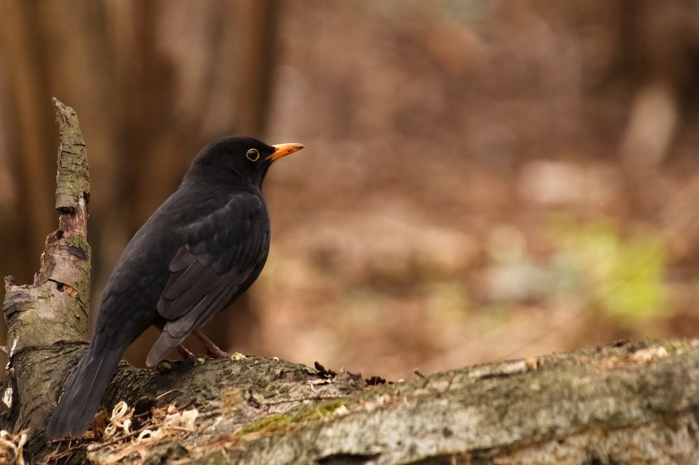 Photograph by Наталья Гайдукевич