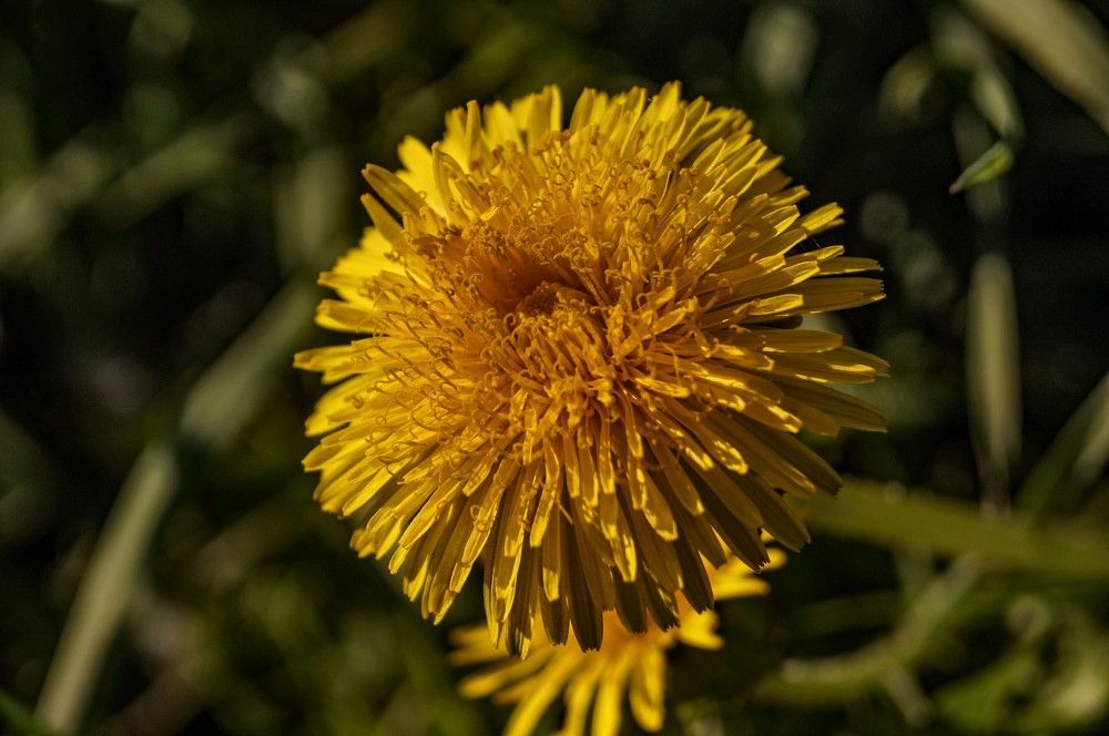 Photograph by Алексей Логинов