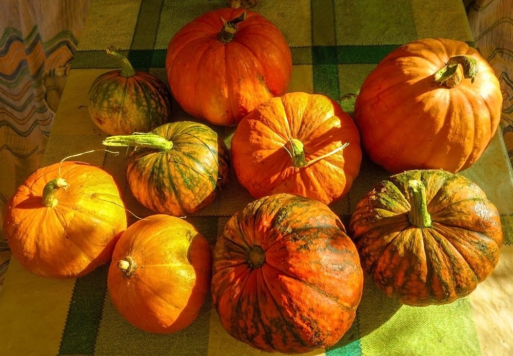 Photograph by IRINA KORNEVA