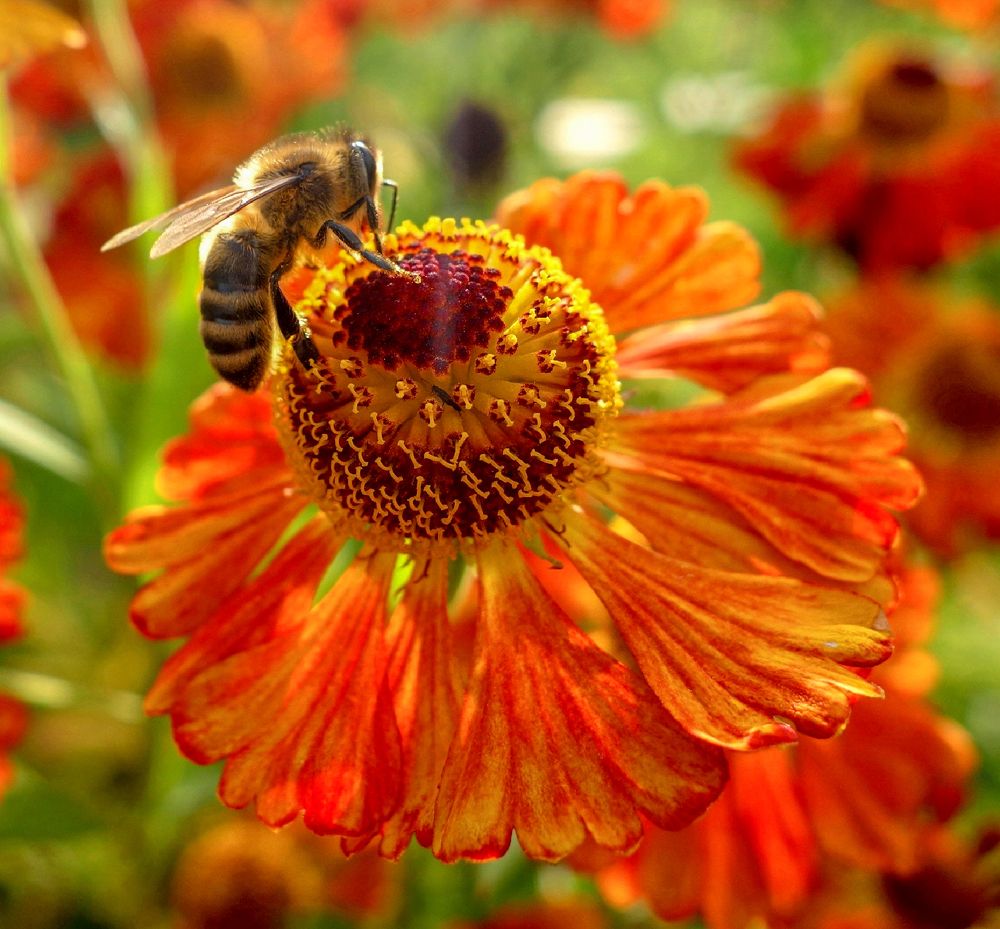 Photograph by IRINA KORNEVA