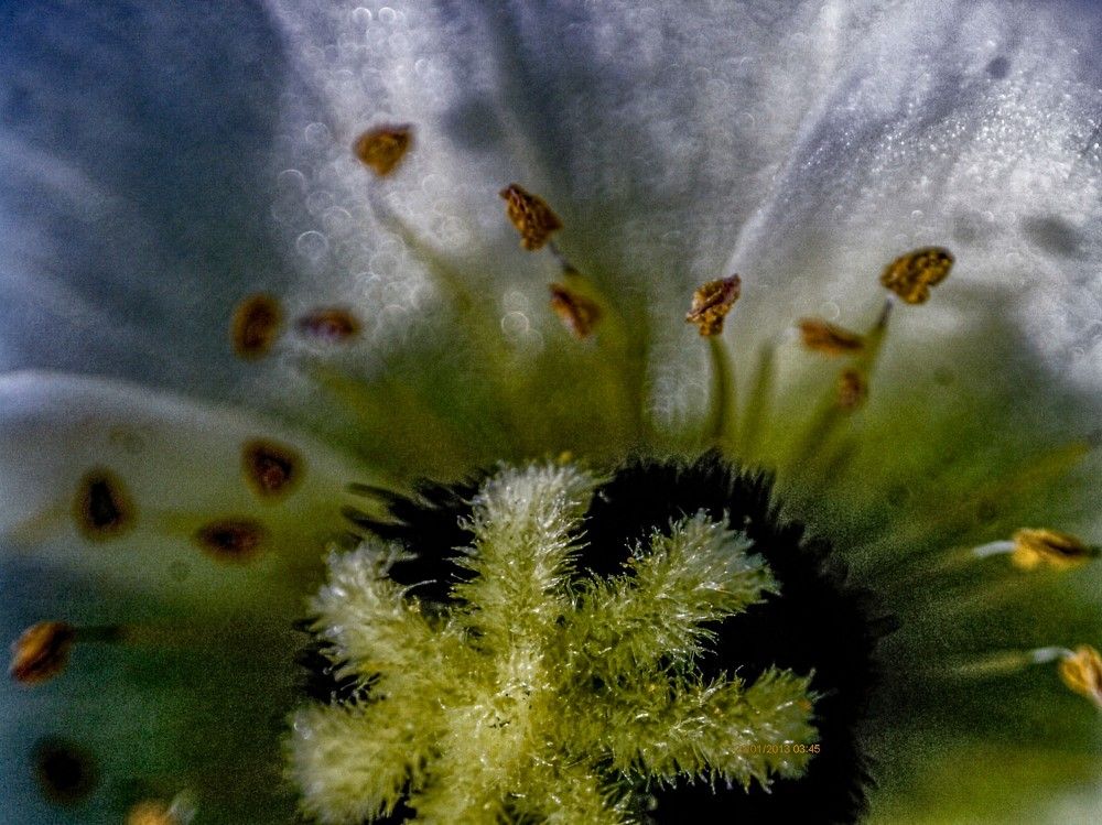 Photograph by Алексей Логинов