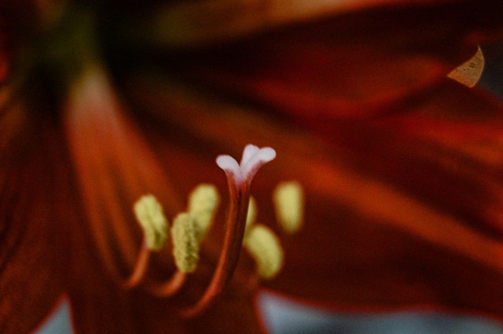 Photograph by Алексей Логинов