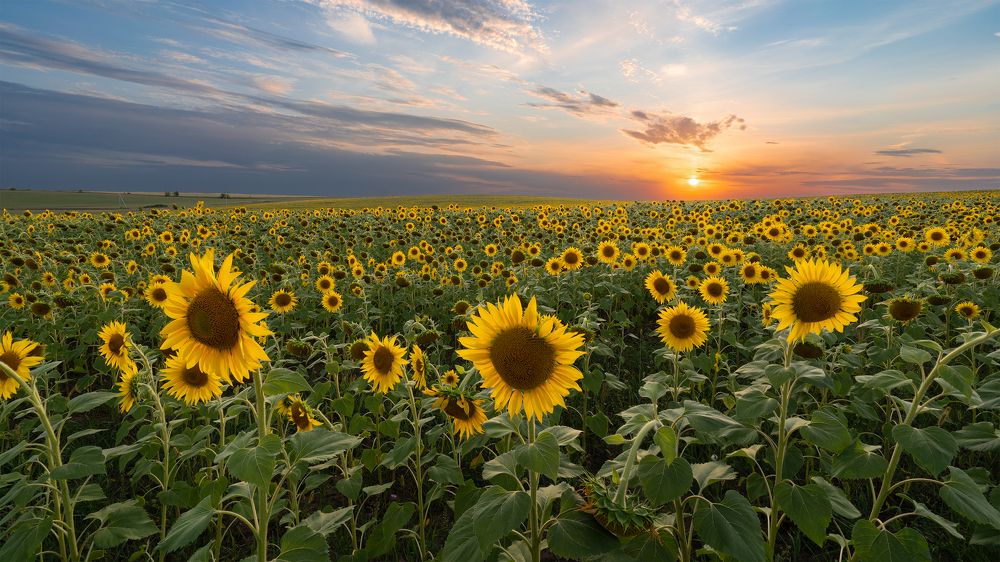 Photograph by Сергей Серушкин