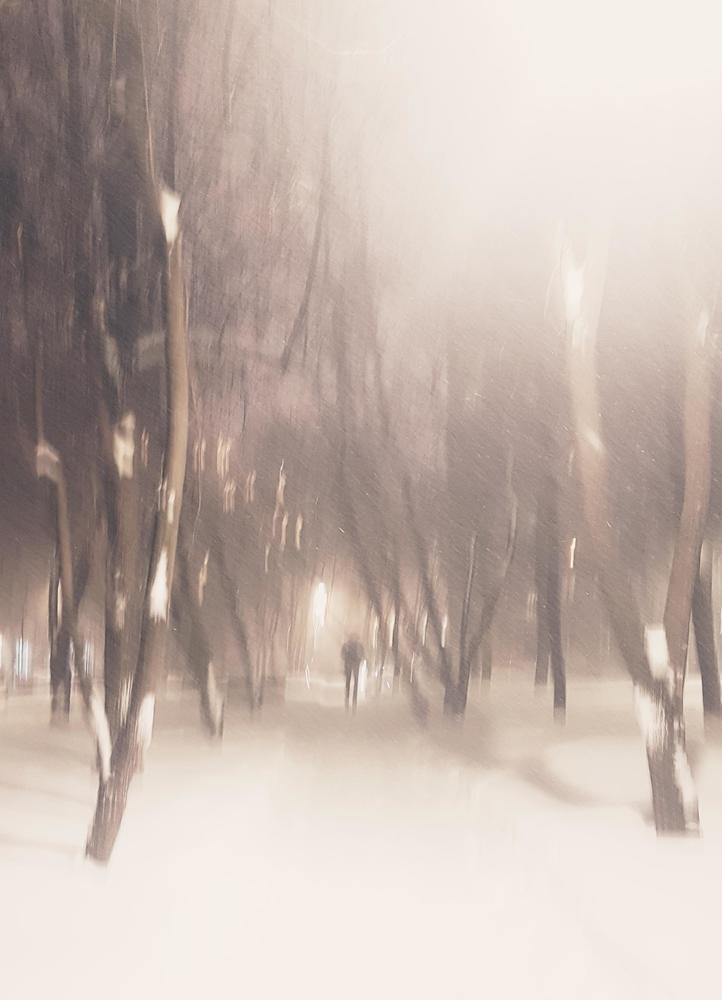 Photograph by Ira Sokol