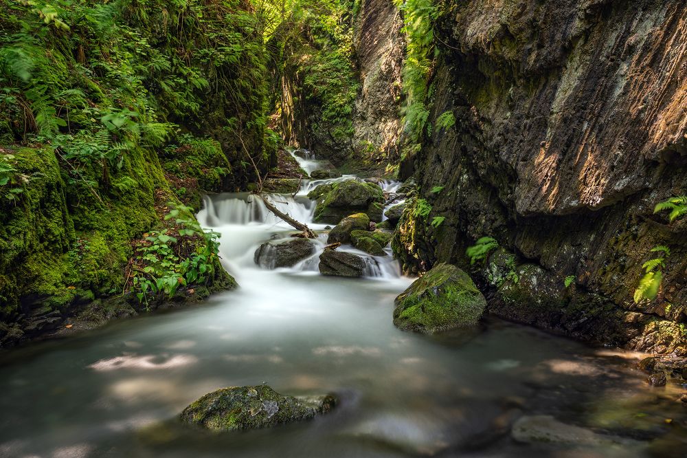 Photograph by Сергей Серушкин