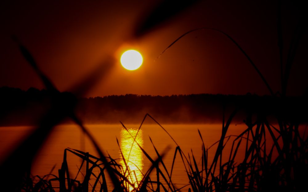 Photograph by Николай Круглов