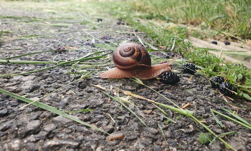 Photograph by Валерия Столбова