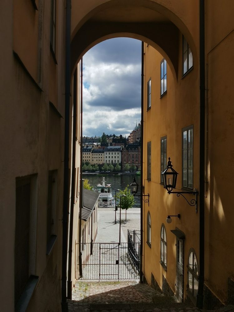 Фотография автора Alex