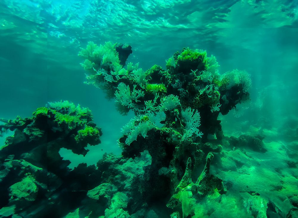 Photograph by Владимир Михайлов