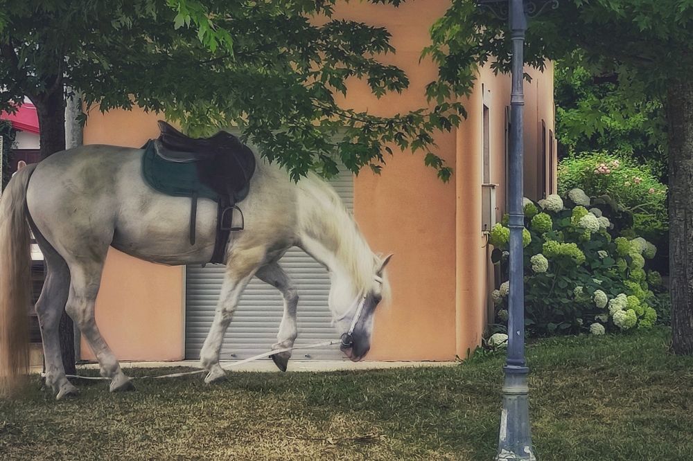 Photograph by Виктория Вялкова