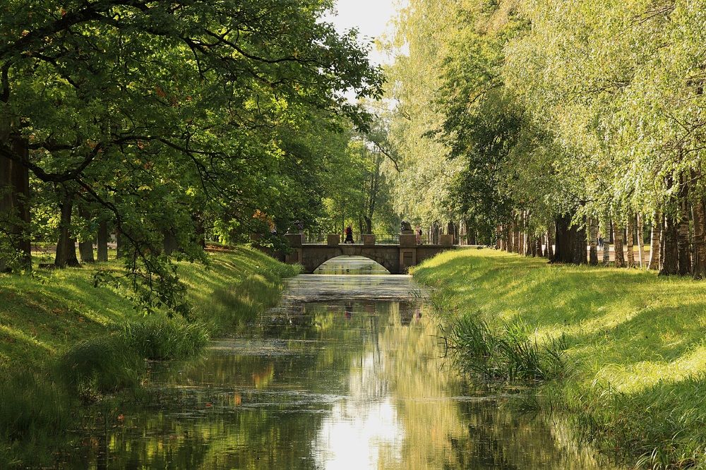 Photograph by Елена Николаева