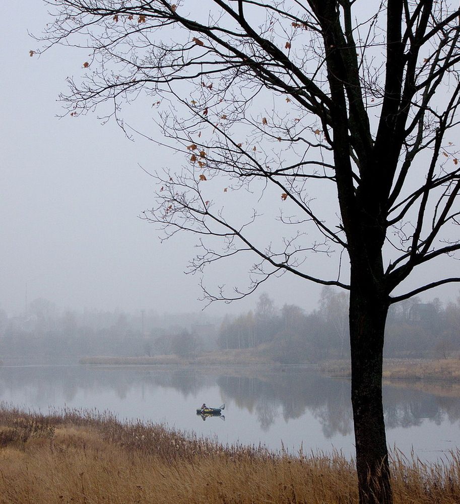 Photograph by Игорь Меньшенин