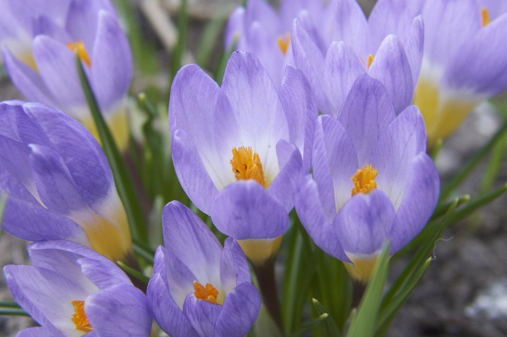 Photograph by Игорь Зиновьев