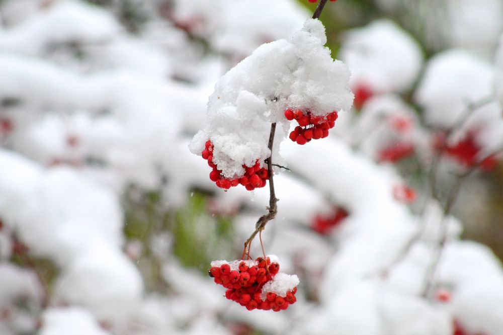 Photograph by Vitaliy Saposhnikov