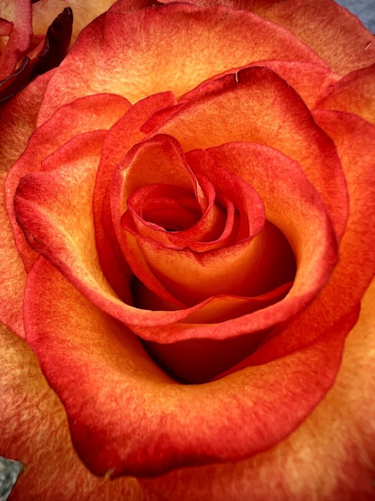 Photograph by Александра Акси