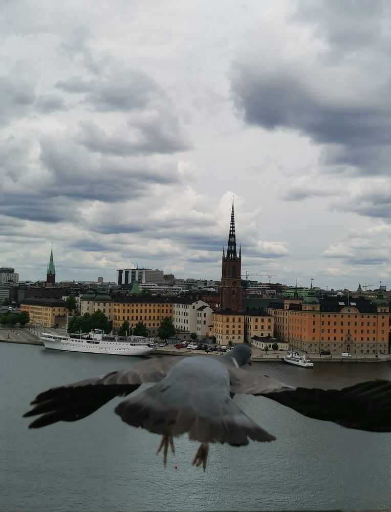 Фотография автора Alex