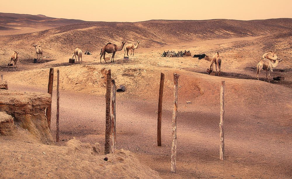 Фотография автора Александр