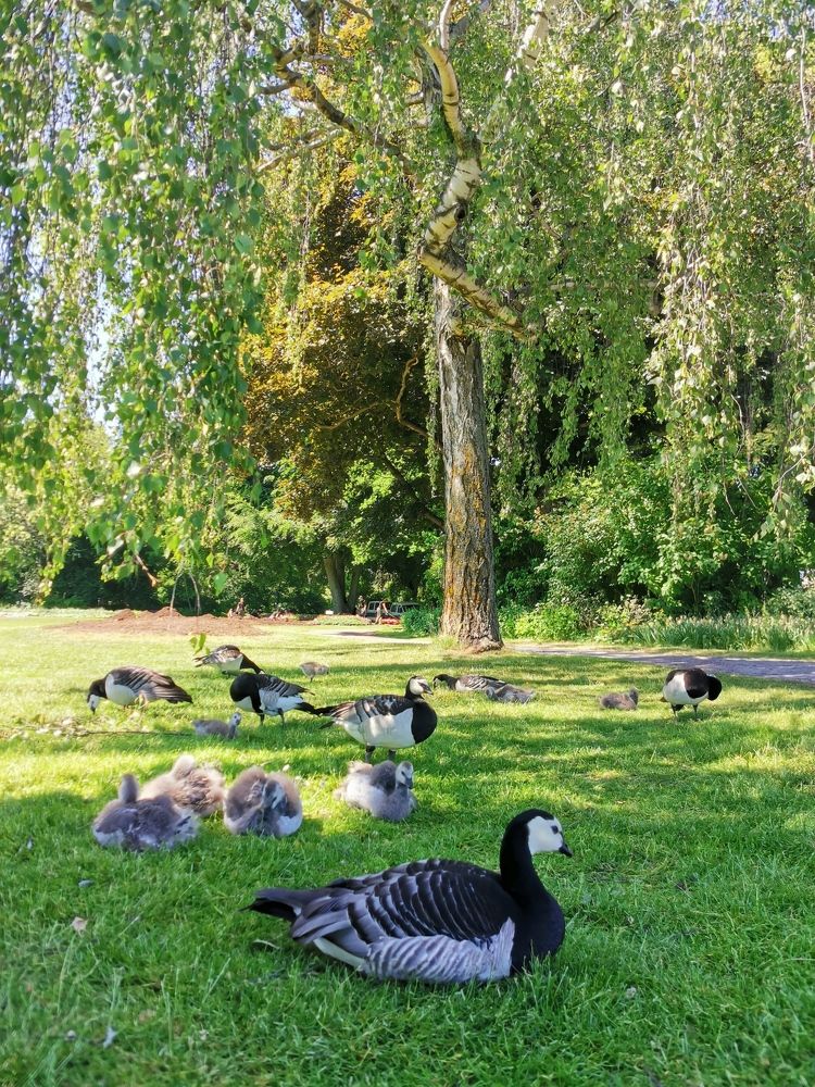 Фотография автора Alex