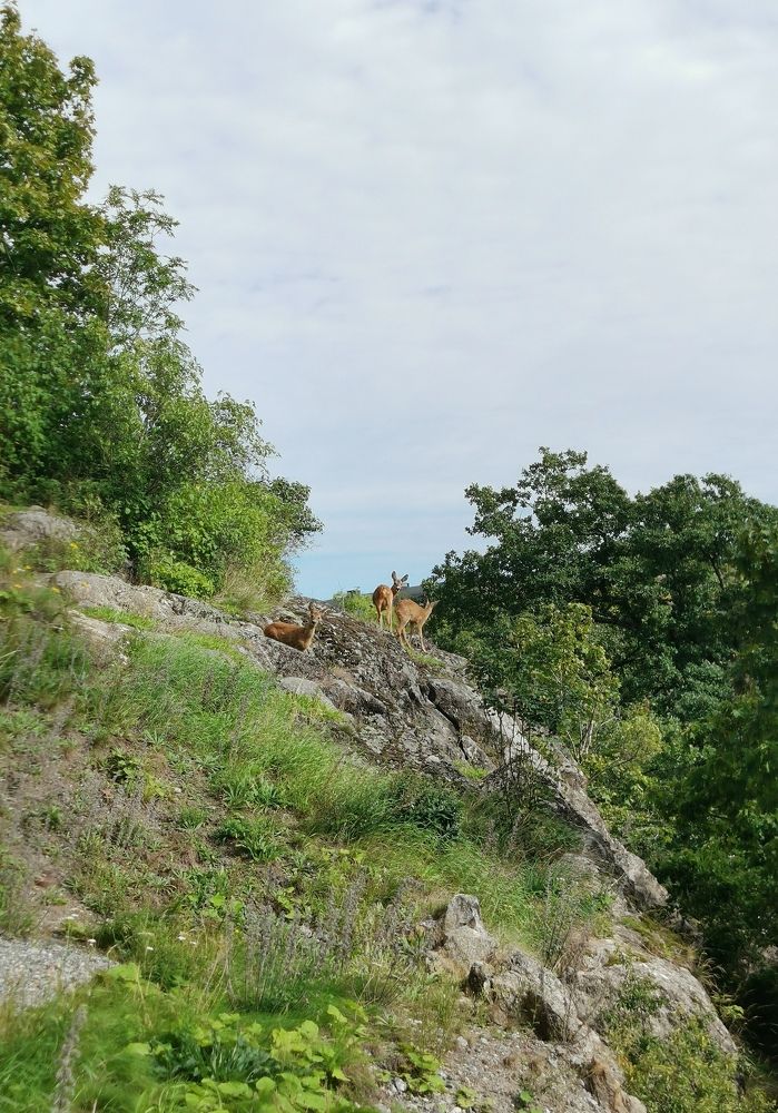 Фотография автора Alex