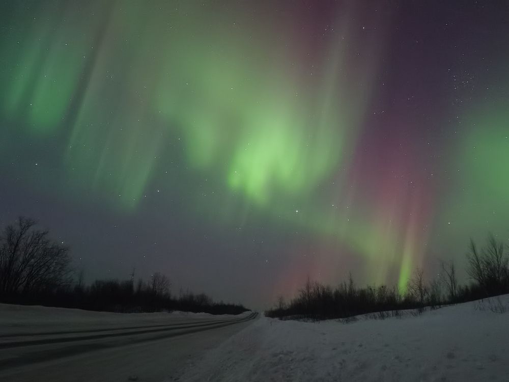 Photo #9528074