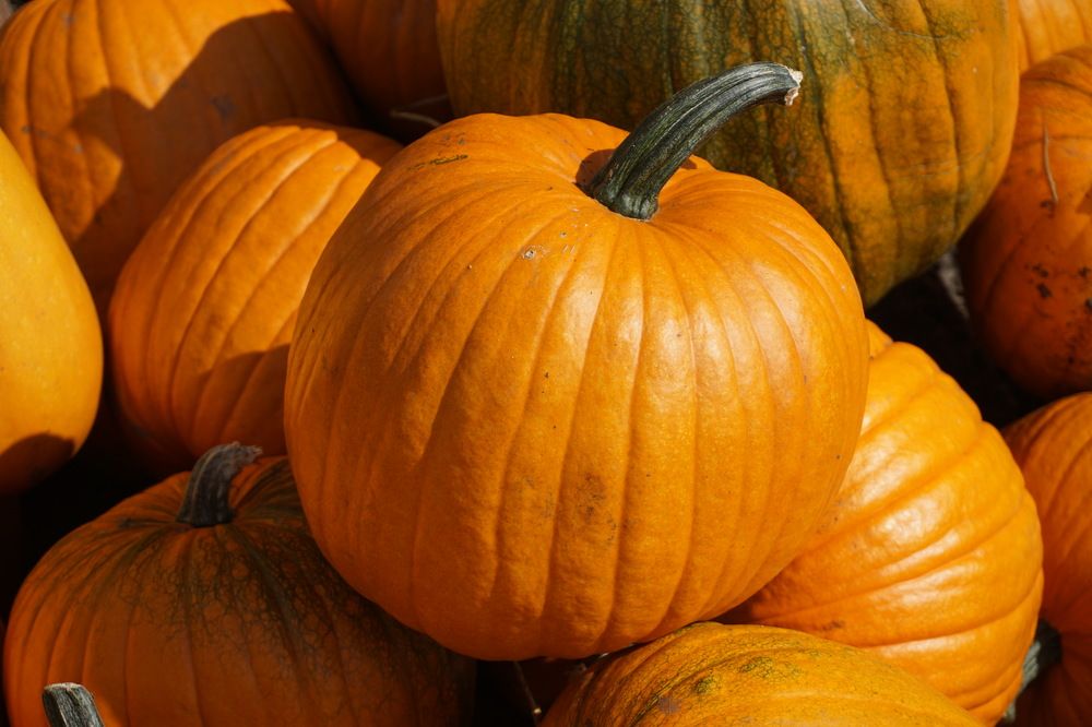 Фотография автора Liudmila Kiermeier