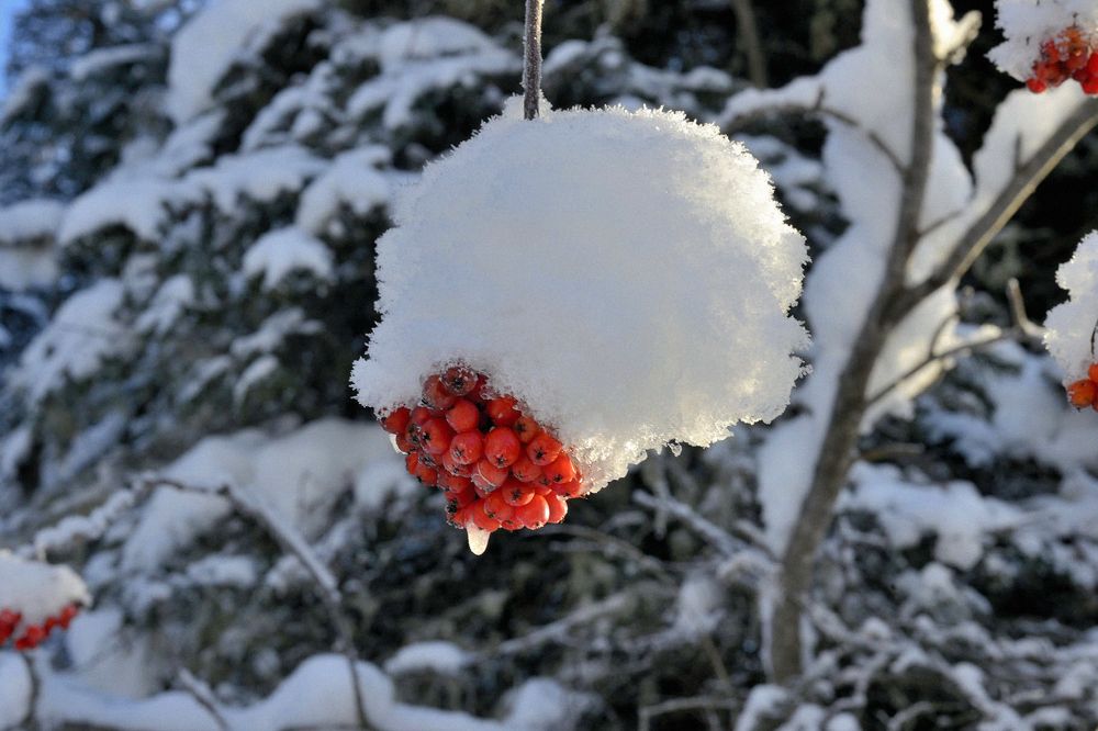 Photograph by Юрий Тимофеев